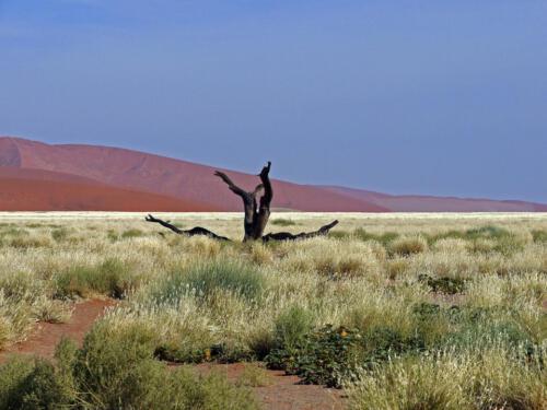 c-UWens Namib-WA¼ste 13