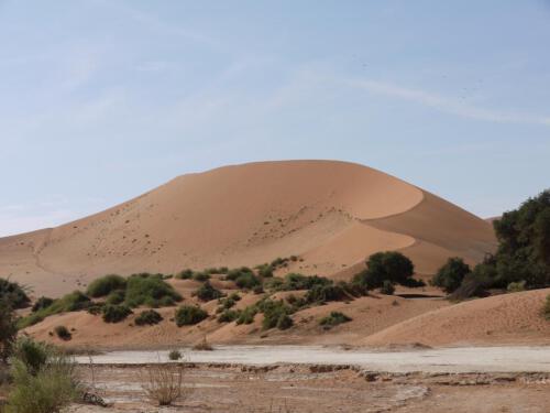 c-UWens Namib-WA¼ste 15