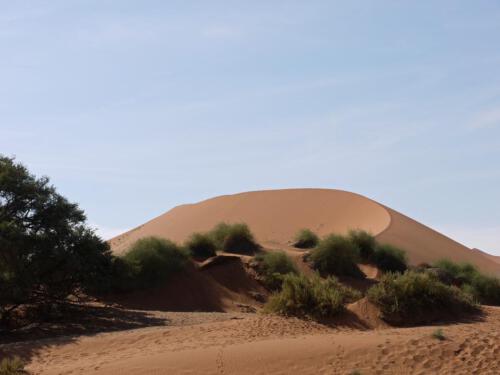 c-UWens Namib-WA¼ste 16