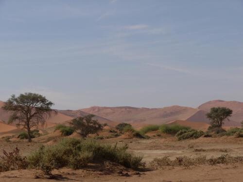 c-UWens Namib-WA¼ste 17