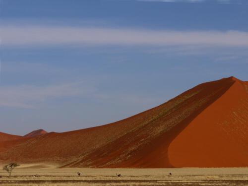 c-UWens Namib-WA¼ste 21