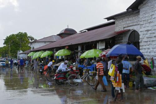 c-UWens Zanzibaris 02