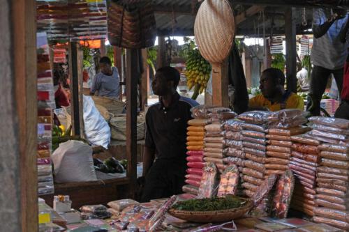 c-UWens Zanzibaris 03