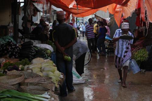 c-UWens Zanzibaris 04