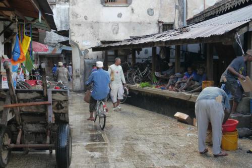 c-UWens Zanzibaris 05