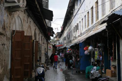 c-UWens Zanzibaris 06