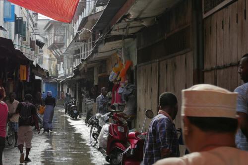 c-UWens Zanzibaris 07