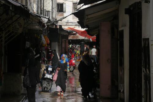 c-UWens Zanzibaris 08