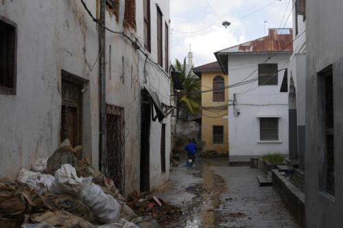 c-UWens Zanzibaris 09