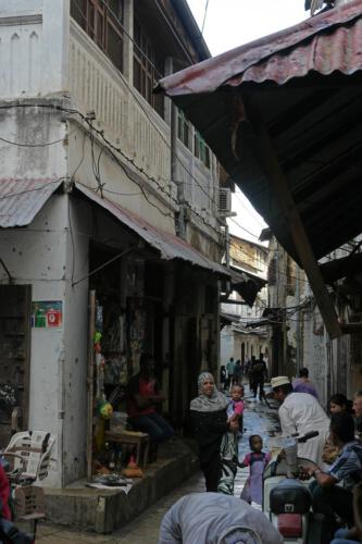 c-UWens Zanzibaris 13