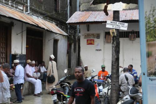 c-UWens Zanzibaris 14