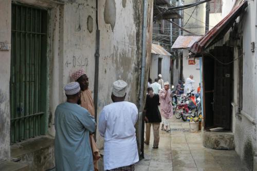 c-UWens Zanzibaris 15