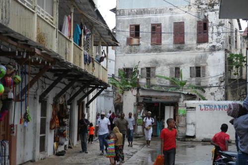 c-UWens Zanzibaris 16