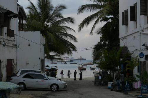 c-UWens Zanzibaris 19