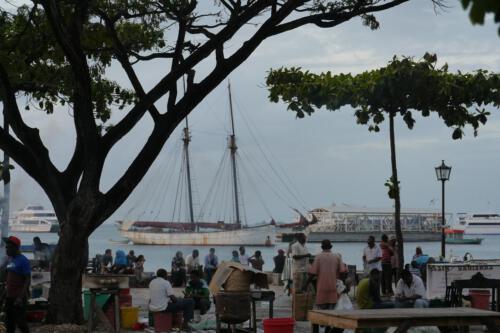 c-UWens Zanzibaris 20