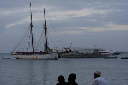 c-UWens Zanzibaris 21