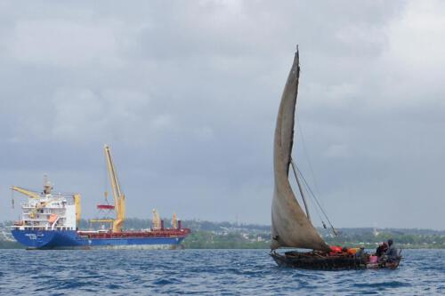 c-UWens Zanzibaris 28