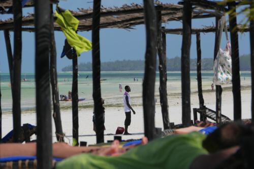 c-UWens Zanzibaris 40