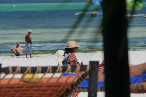 c-UWens Zanzibaris 42