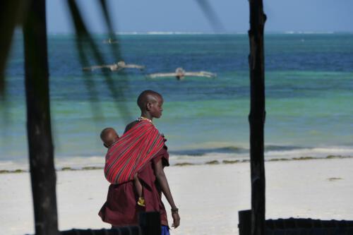 c-UWens Zanzibaris 43