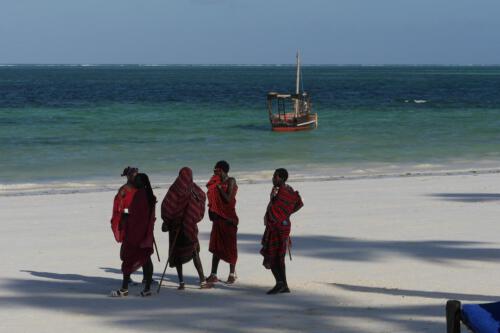 c-UWens Zanzibaris 45