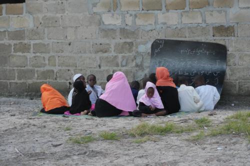 c-UWens Zanzibaris 48