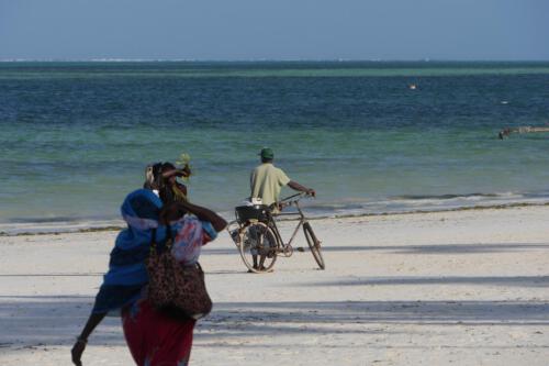 c-UWens Zanzibaris 50