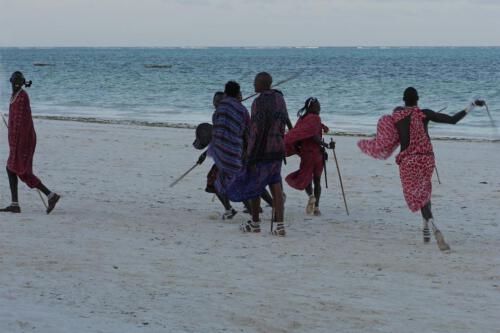 c-UWens Zanzibaris 51